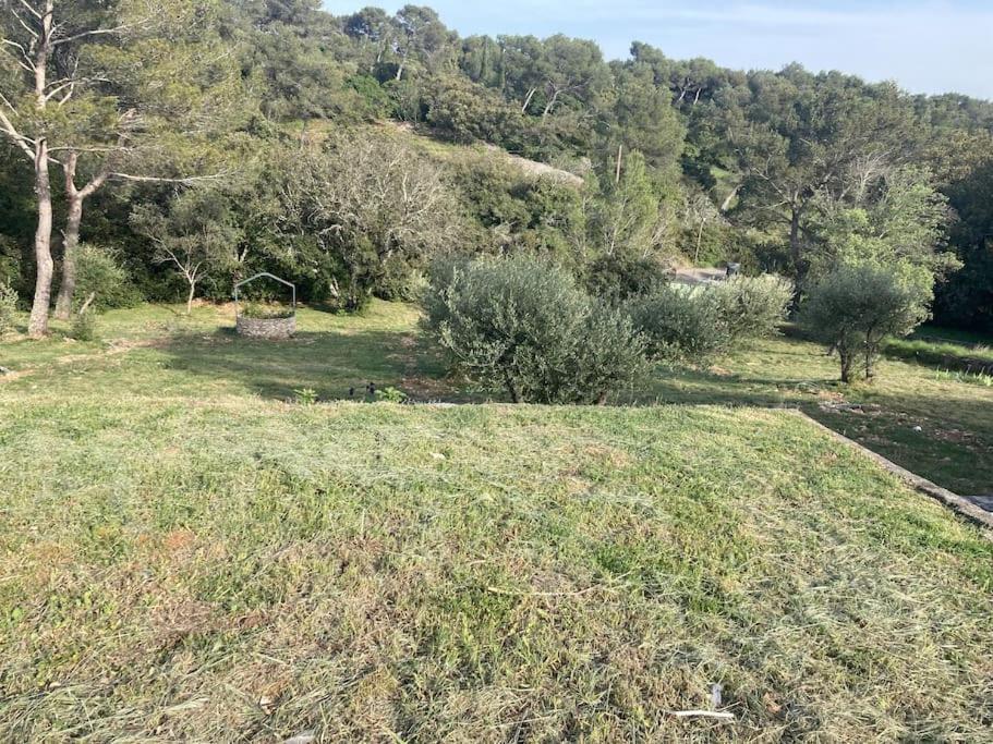 Magnifique Villa De Luxe Au Coeur De La Garrigue 尼姆 外观 照片